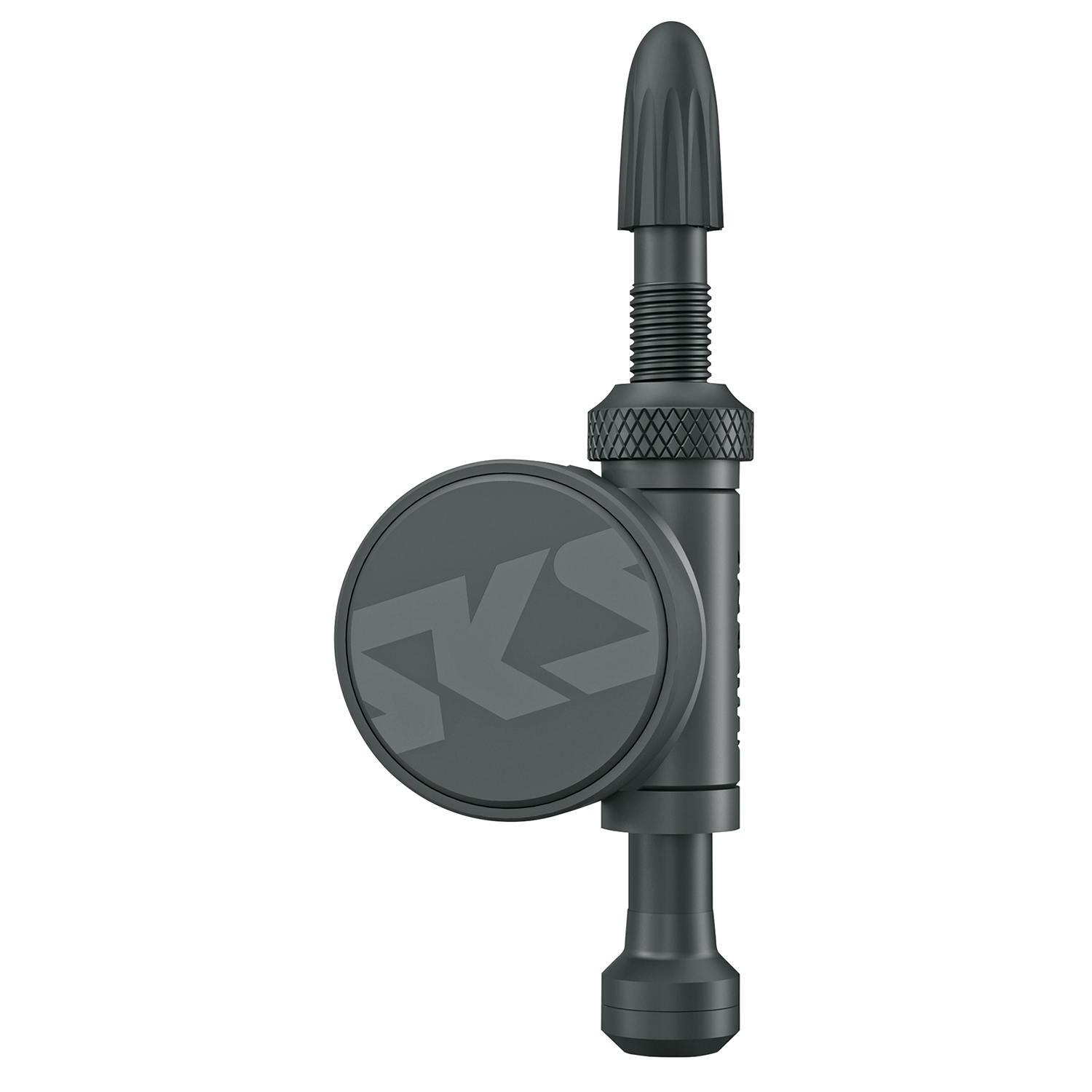 SKS AIRSPY TL tubeless tire pressure sensor